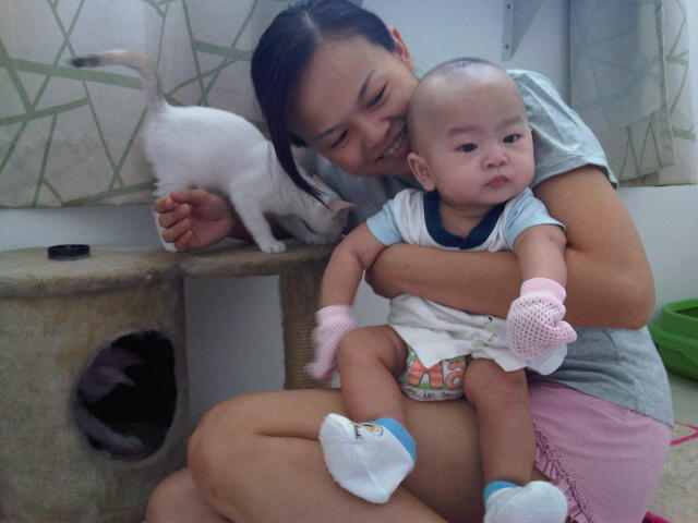 IMG00237-20111120-1152