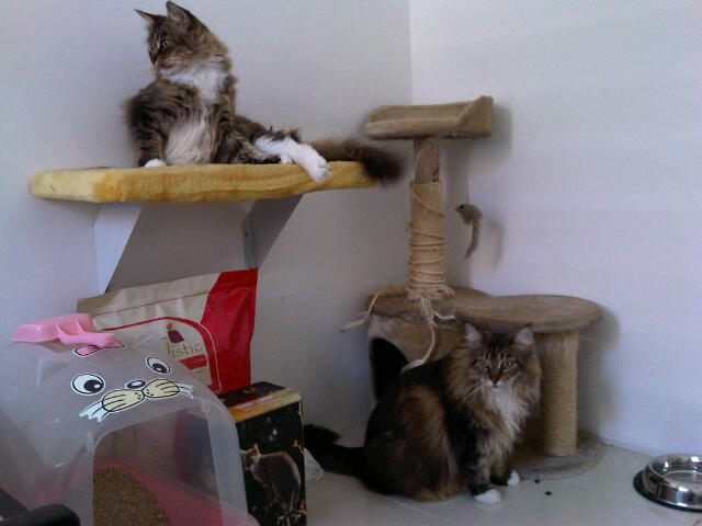 IMG00291-20111120-1222