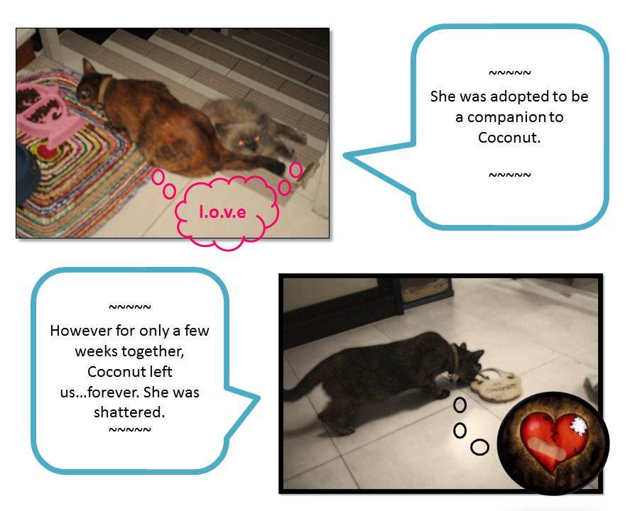 Slide2