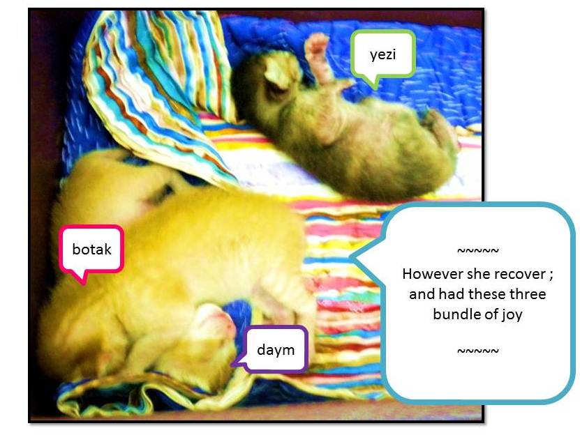 Slide3