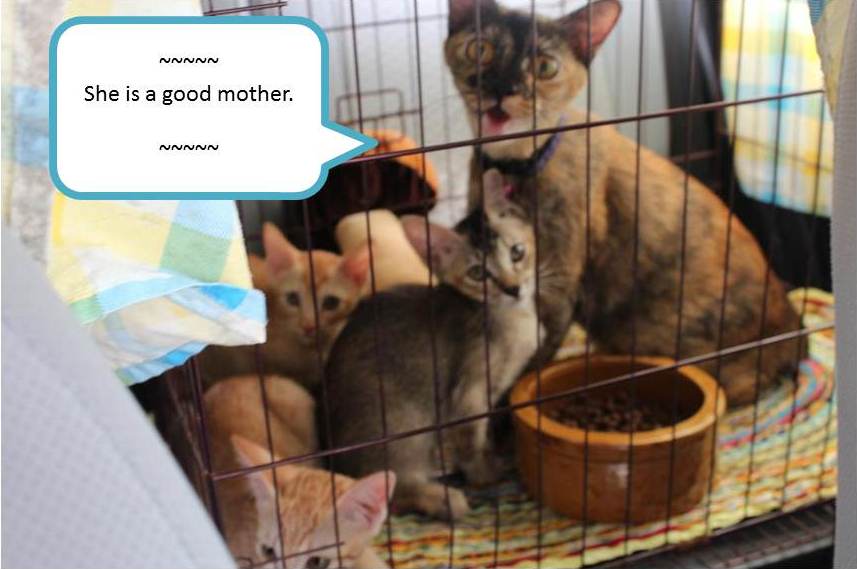 Slide4