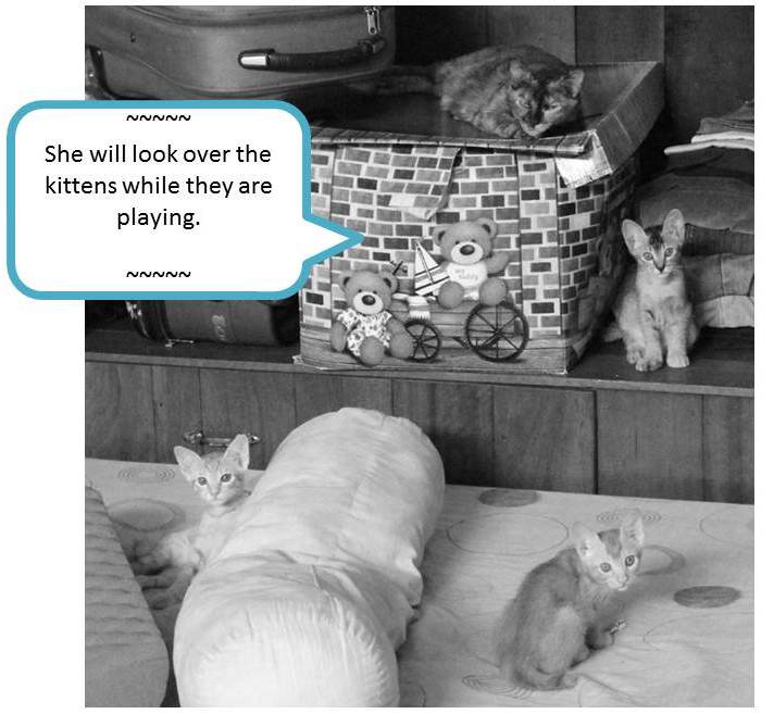 Slide5