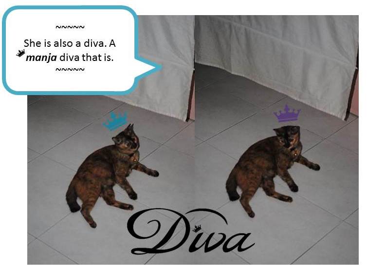 Slide6