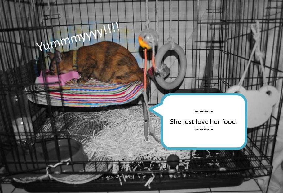 Slide7