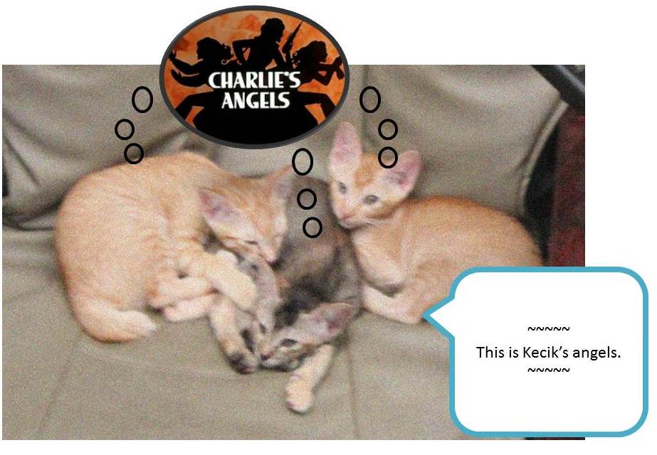 Slide8