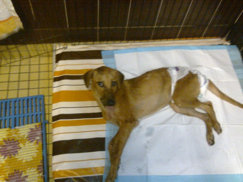 mini-Image0914