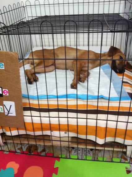 Settling down in confinement
