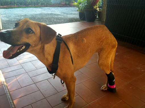 4 Padded foot