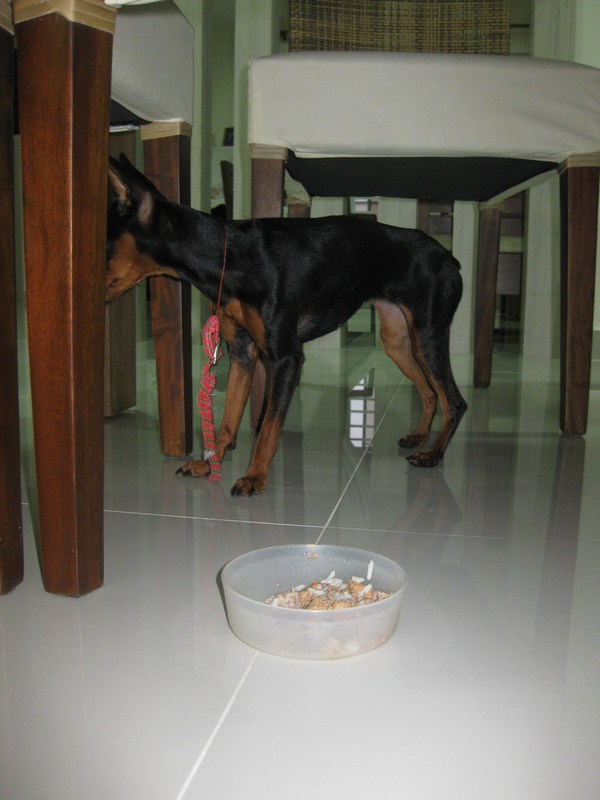 mini-IMG_8419