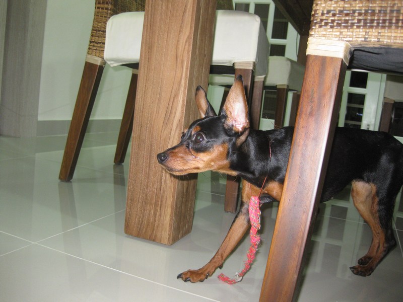 mini-IMG_8420