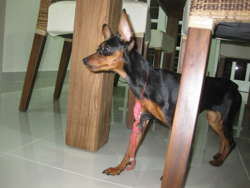mini-IMG_8421