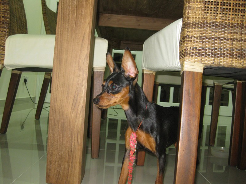 mini-IMG_8422
