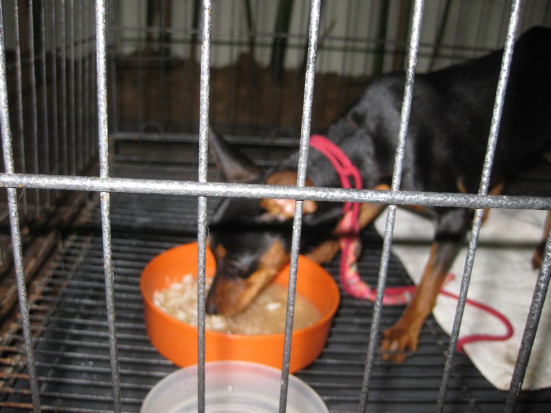 mini-IMG_8442