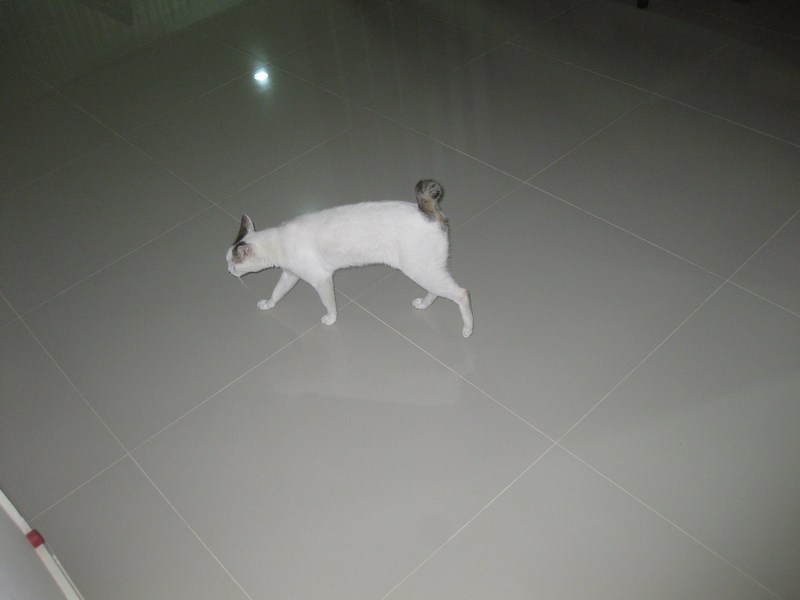 mini-IMG_8613