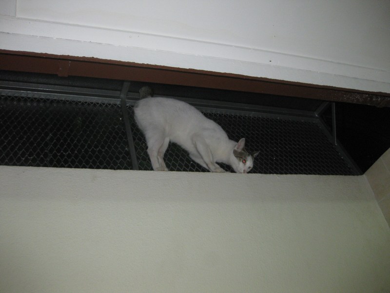 mini-IMG_8737
