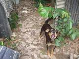 th_DSCF1163