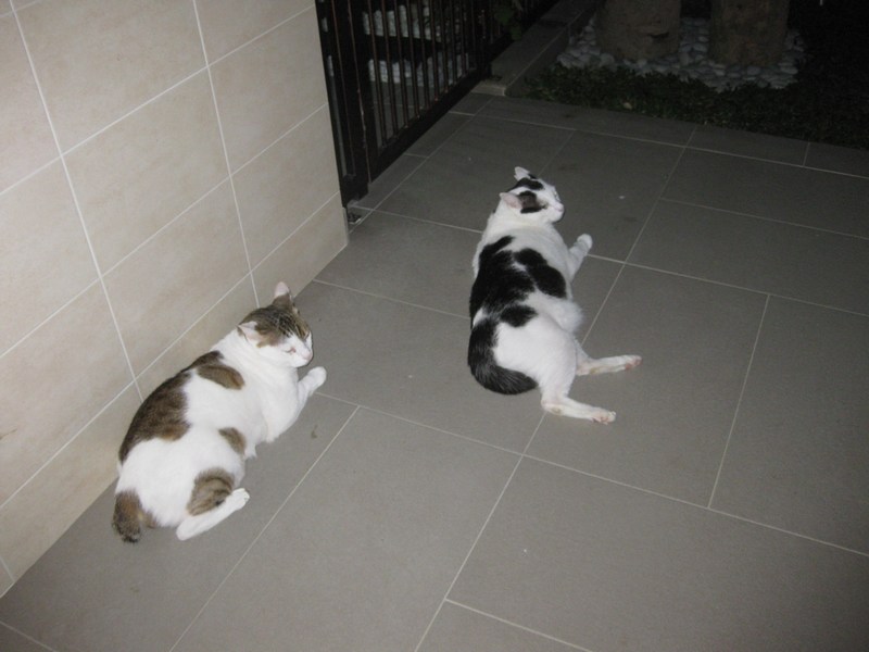 mini-IMG_9399