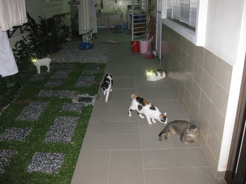 mini-IMG_9409