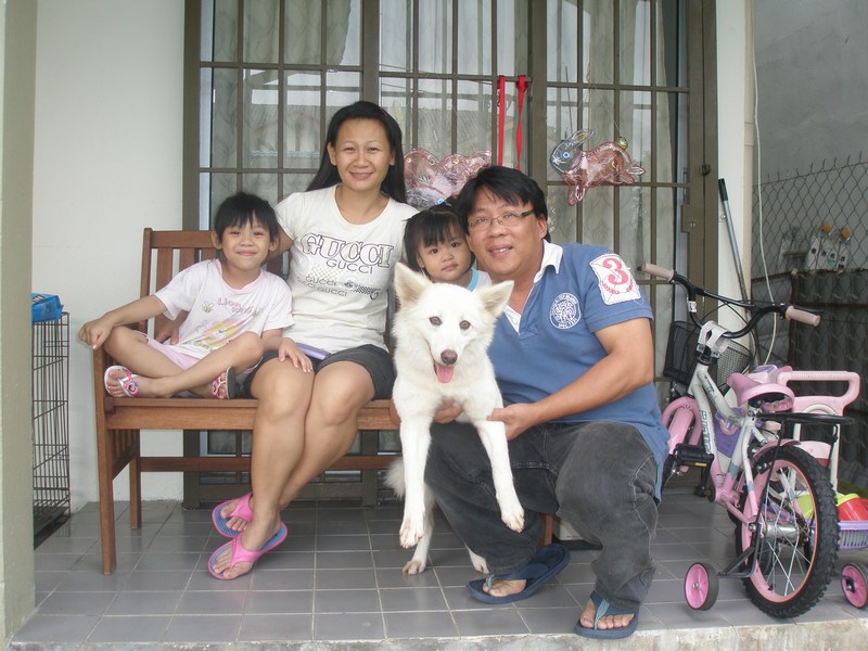 mini-Stroby family