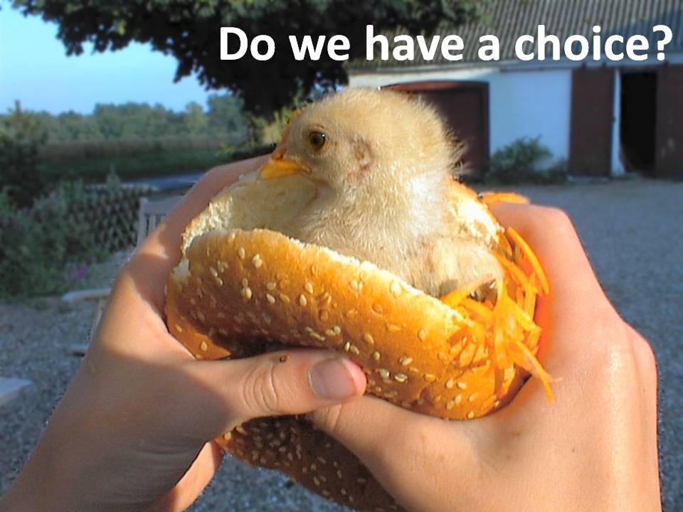 Do we have a choice