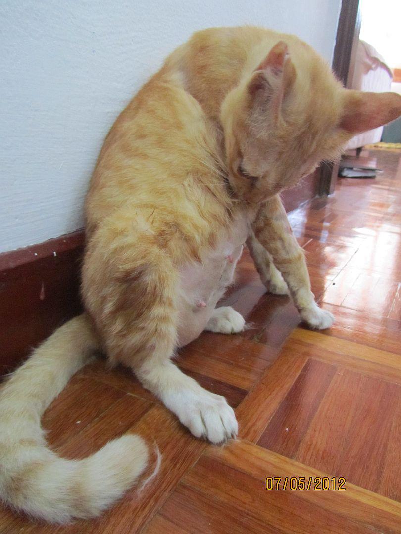 caty04