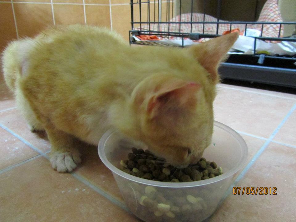 caty05