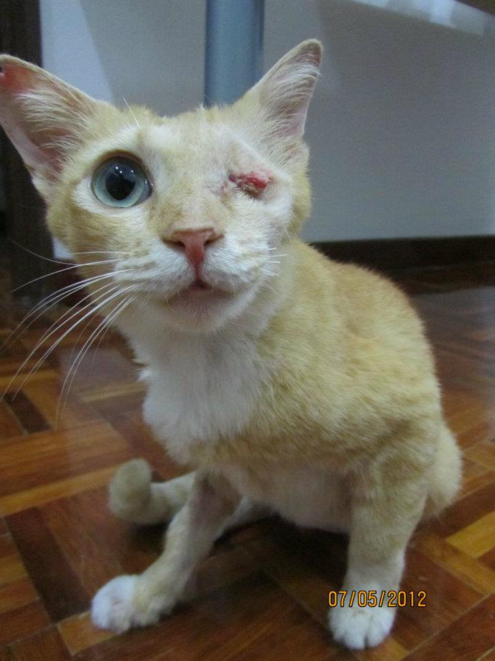 caty06