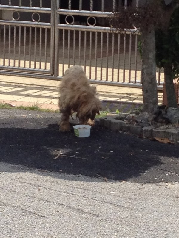 mini-Eating