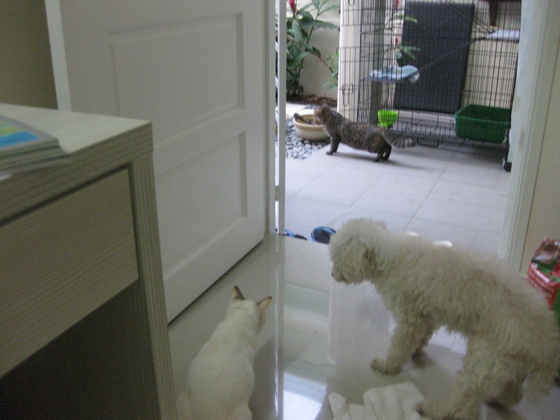 mini-IMG_0189