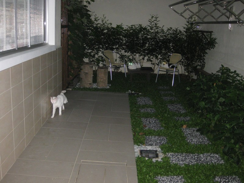mini-IMG_0225