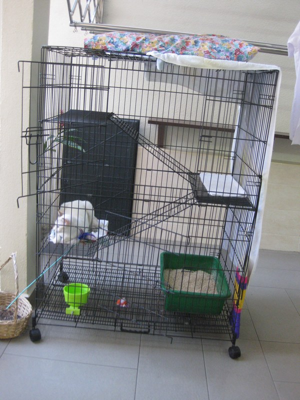 mini-IMG_0383