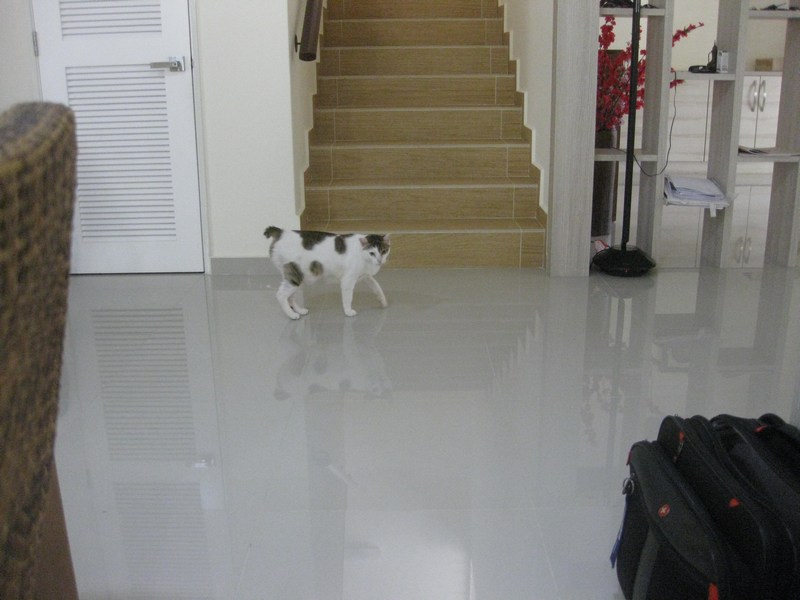 mini-IMG_0569