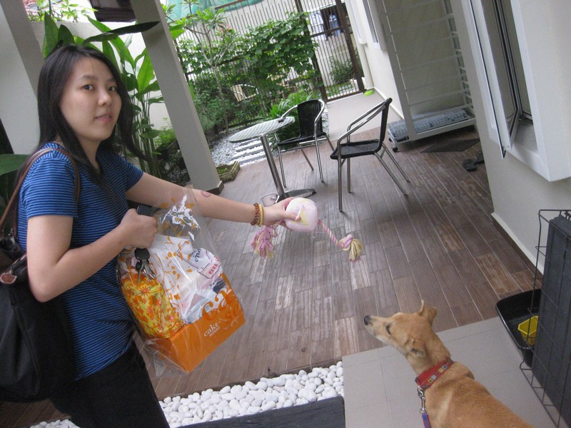 mini-IMG_0580