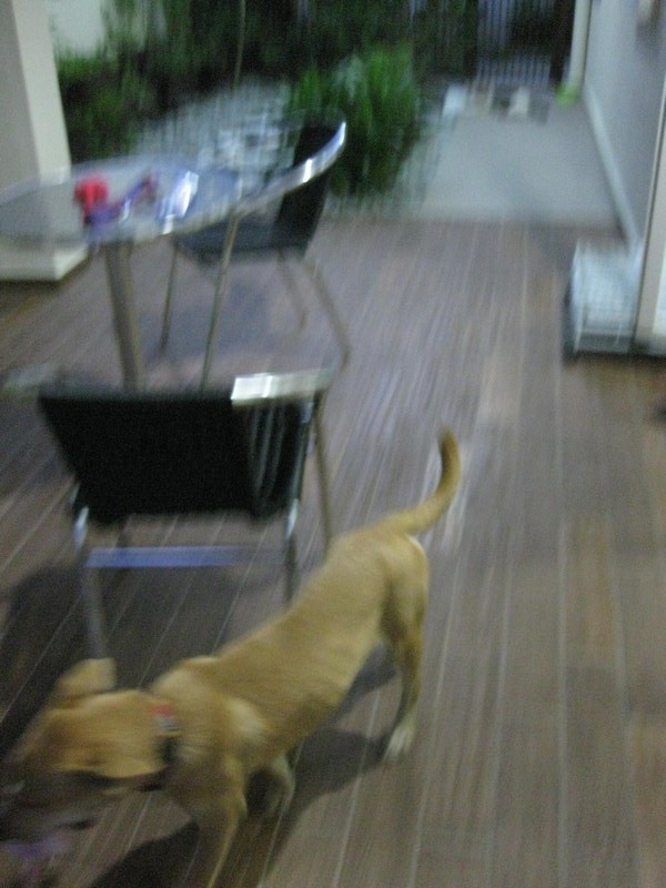 mini-IMG_0603