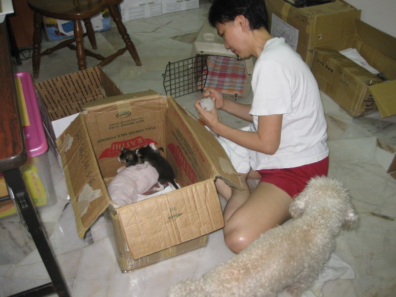 mini-IMG_2820