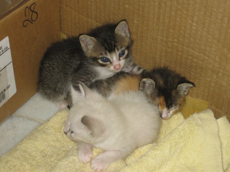 mini-IMG_3326