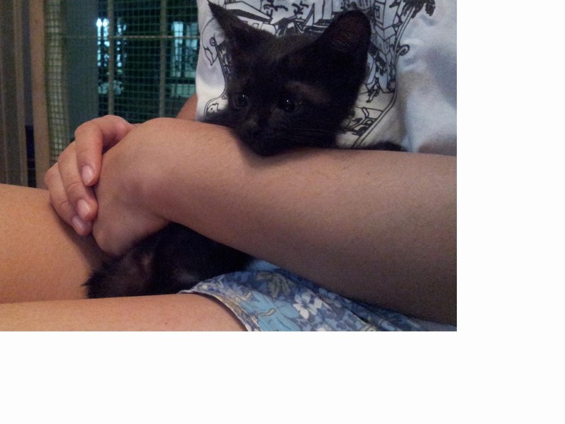 mini-Salem