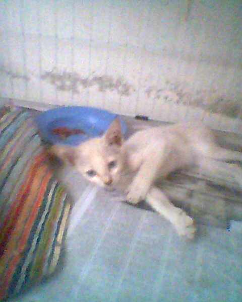 Photo0208
