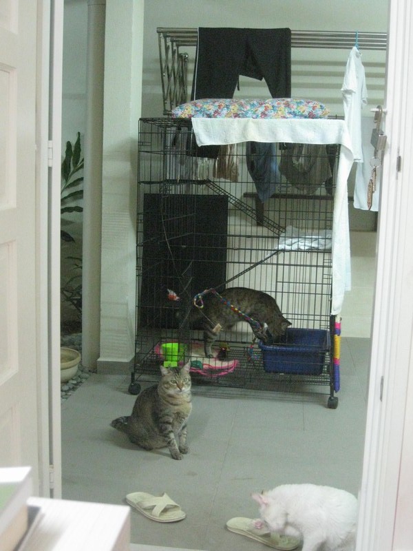 mini-IMG_1027