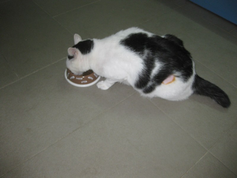 mini-IMG_1515