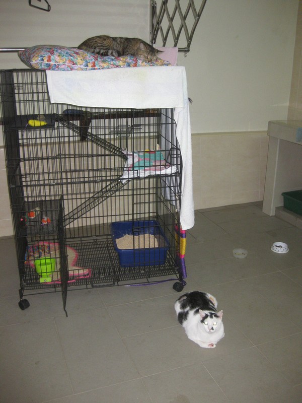 mini-IMG_1521