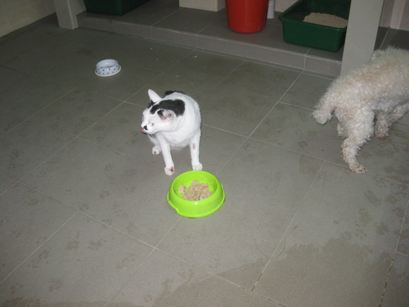 mini-IMG_1522