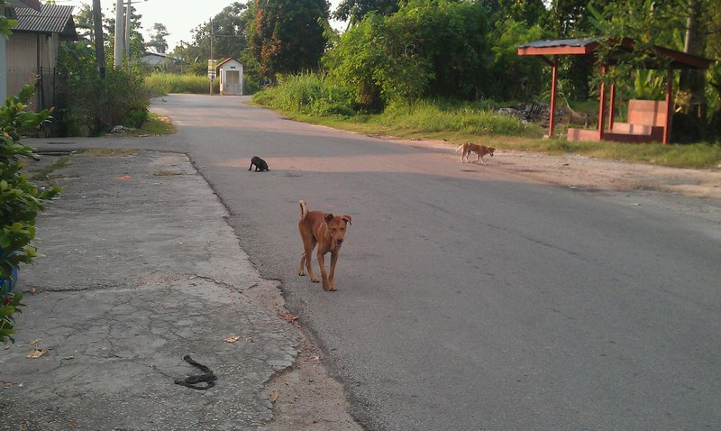 mini-batu pahat