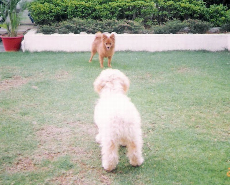 mini-scan0015