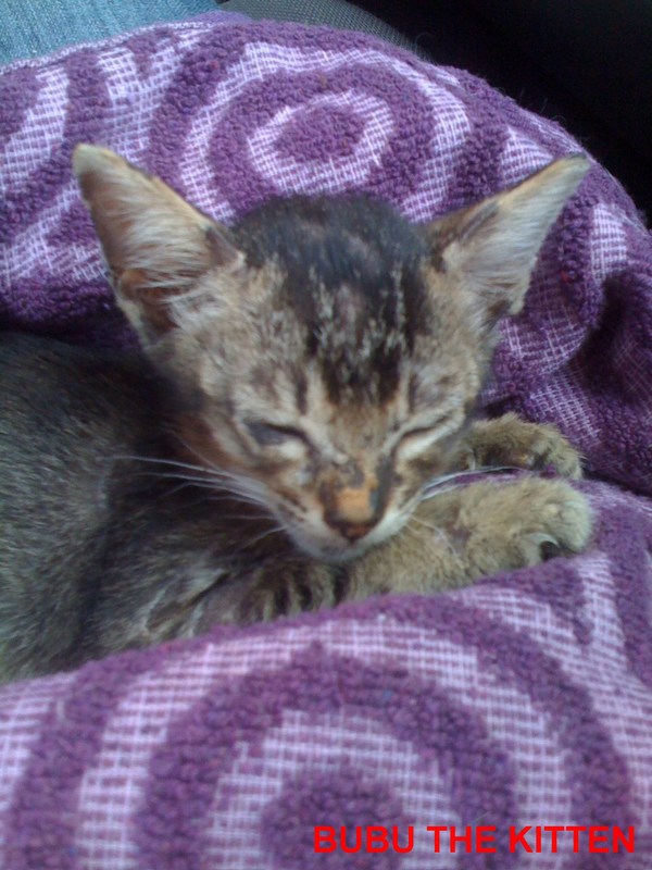 mini-I'm the smallest but a big eater..I had severe diarrhoea but now I'm fine