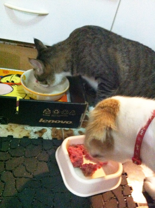 Dinner with pals