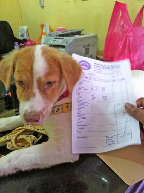Max goes to the clinic