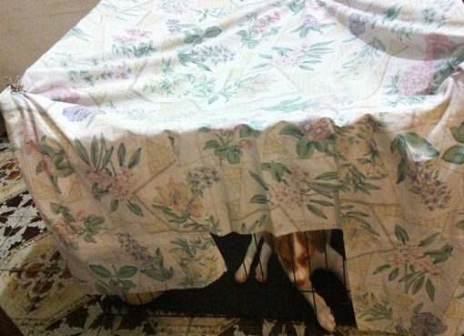 Night tent