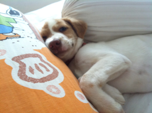 Zzzz