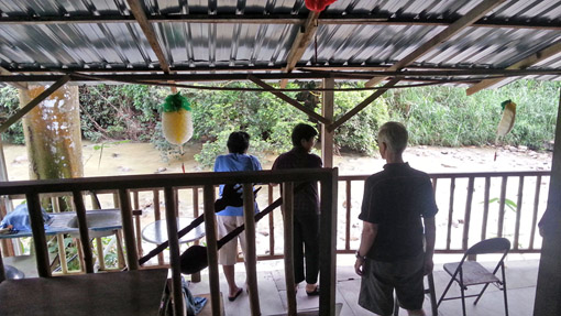 10 View of the river from neighbour
